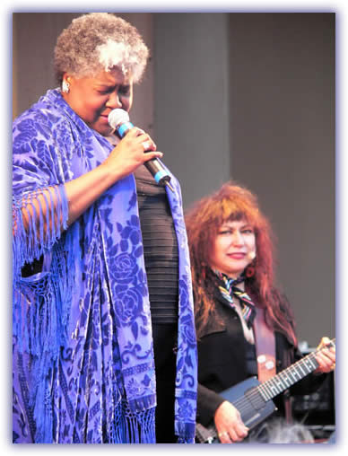Chicago Blues Festival