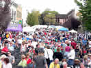 Old Webster Jazz & Blues Festival