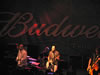 STLBlues Gallery :: Big Muddy 2006: Image