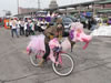 Banana Bike Brigade